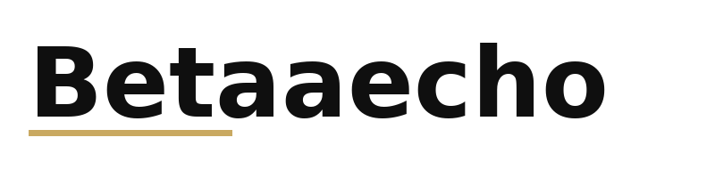 Betaaecho logo